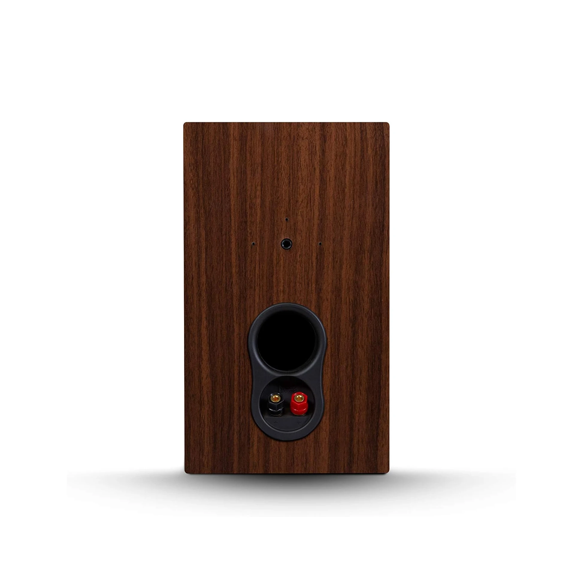 Holzspeaker, Holzoptik, Rückseite Lautsprecher, Klemmpol, Audioanschluss