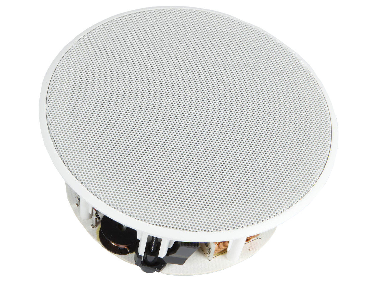 Elektronik, Sprecher