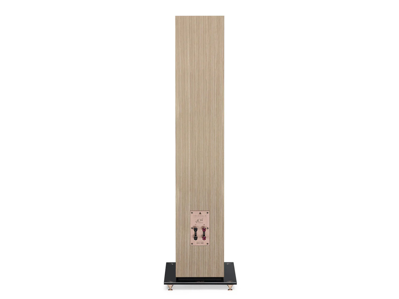 großer Standlautsprecher, Holzoptik, Standlautsprecher, Audiolautsprecher, Rückseite Bedienelemente