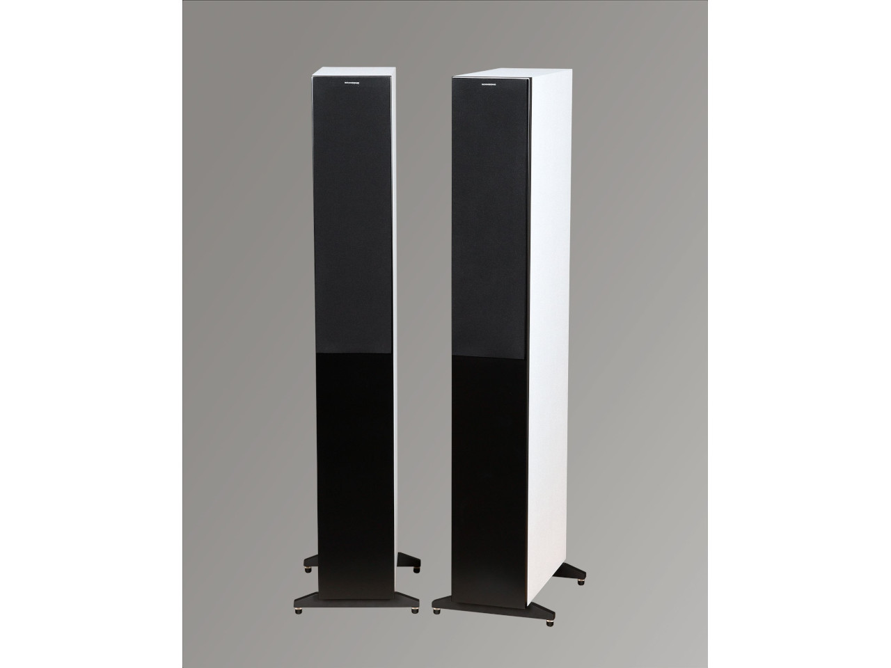 Elektronik, Sprecher