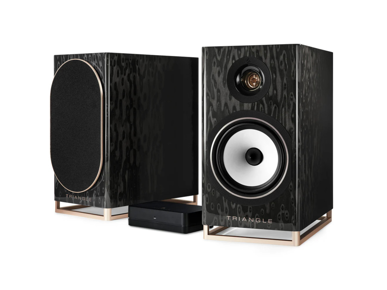 Elektronik, Sprecher