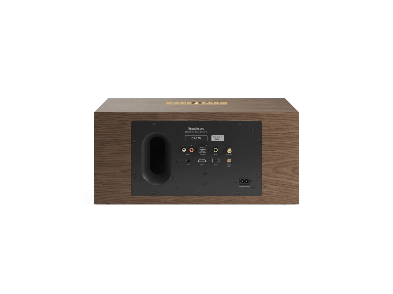 Subwoofer, Holzgehäuse, Rückseite, Audioeingänge, Netzanschluss