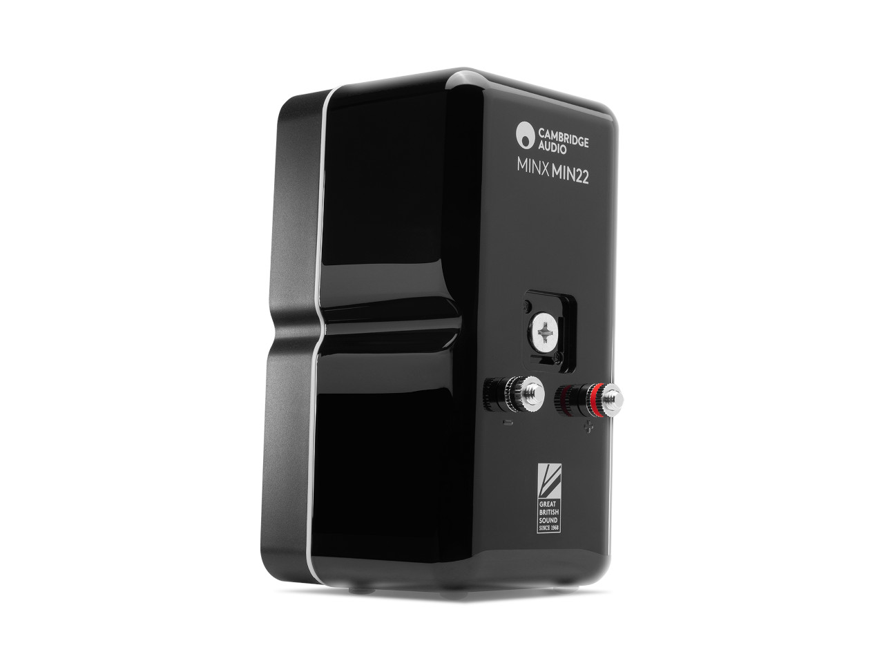 Mini-Verstärker, Gitarrenverstärker, Schwarz, Kompakt, RCA/BT-Anschlüsse