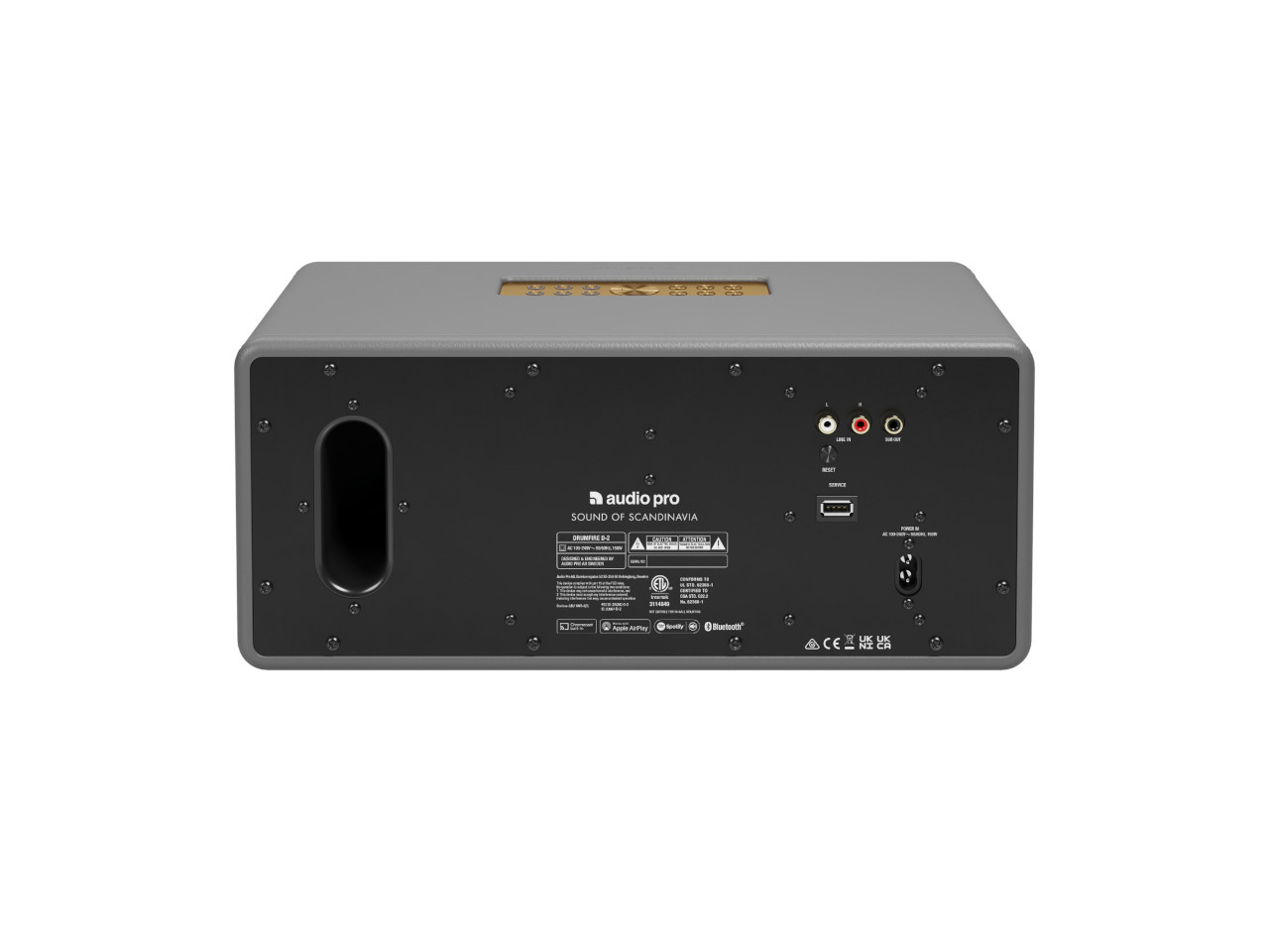 tragbares Lautsprecher, schwarze Platte, RCA-Eingänge, USB-Port, Netzanschluss