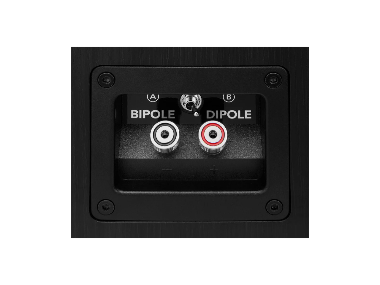 Bipole, Sprecher-Anschluss, Binden-Posts, Rot/Weiß Ringe, Rückseite
