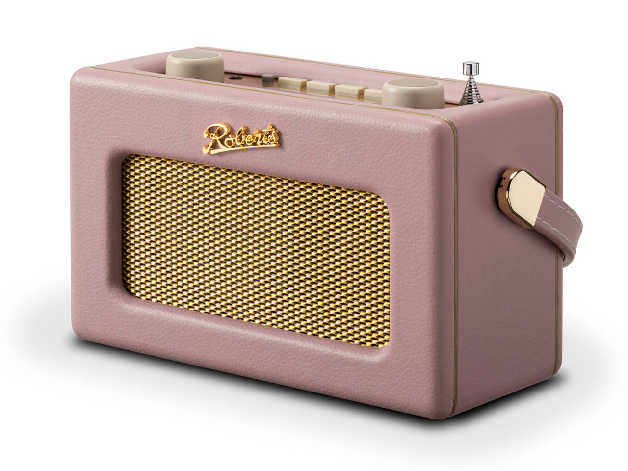 pink, portabler Lautsprecher, Goldene Gitter, Ledertextur, kleine Box
