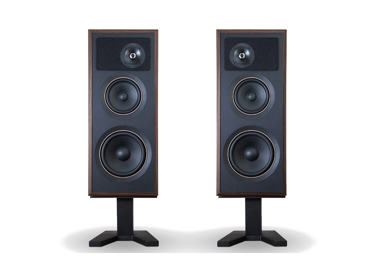 Elektronik, Sprecher