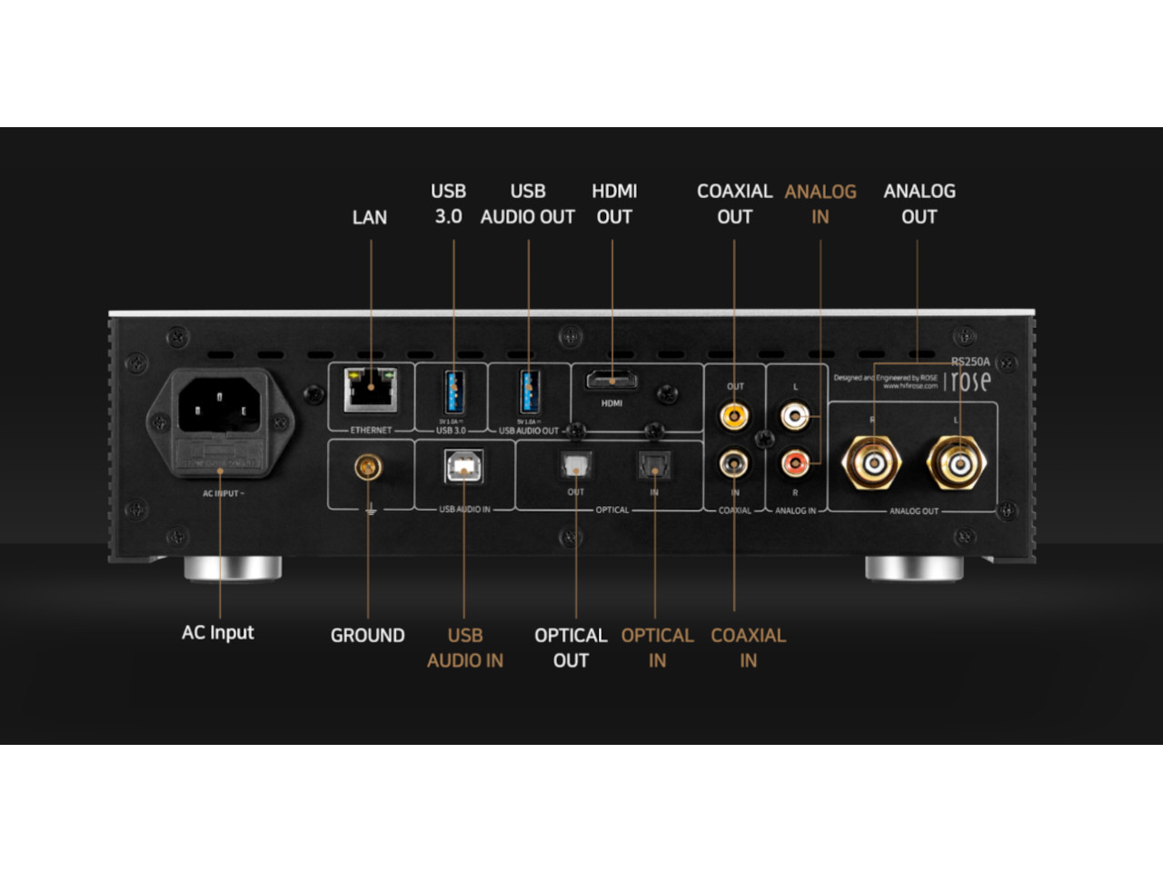 analog in, analog out, coaxial in, usb audio in, ethernet
