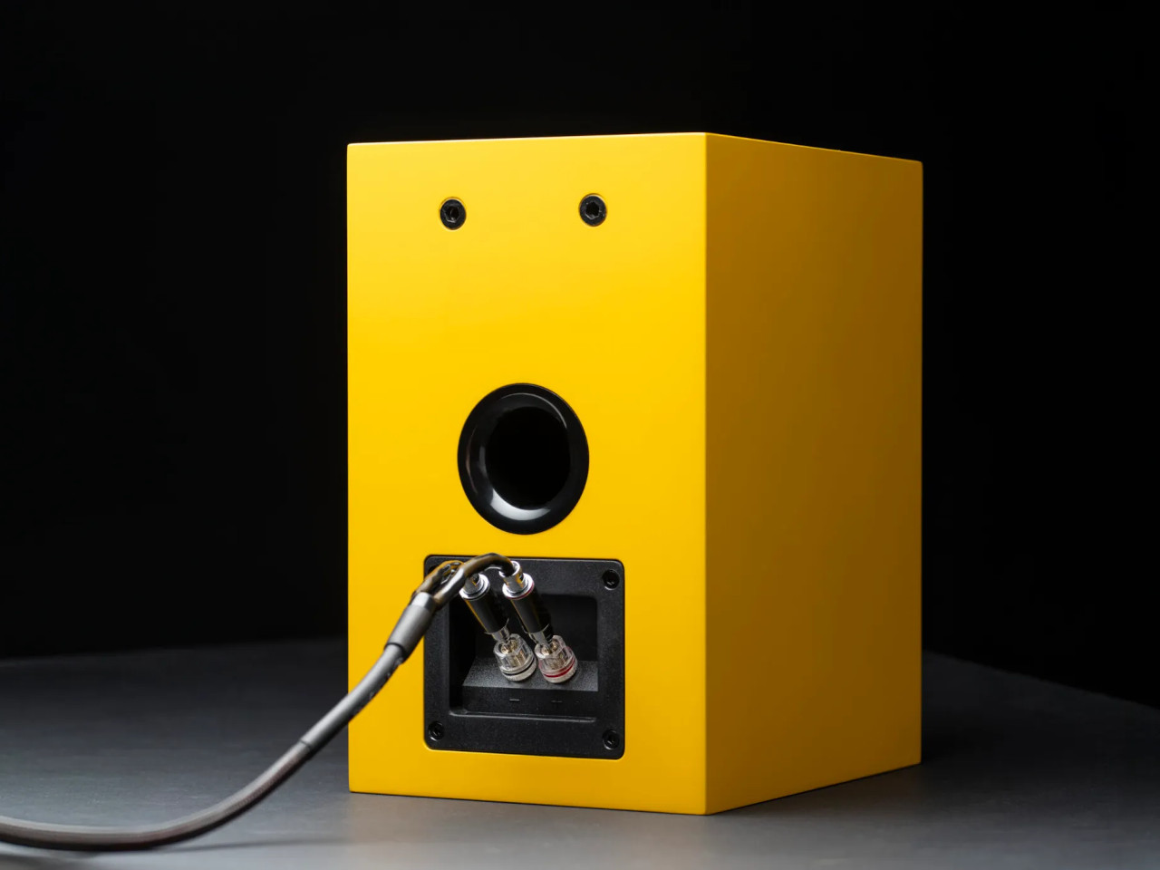 gelb, Lautsprecher, Subwoofer, Kabelanschluss, Rückseite