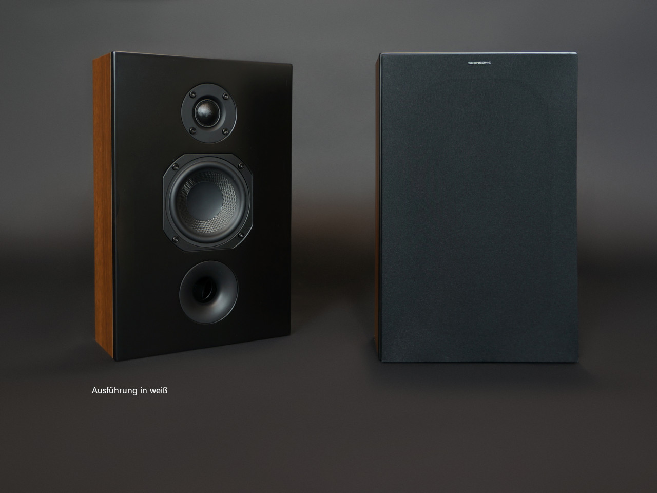 Elektronik, Sprecher