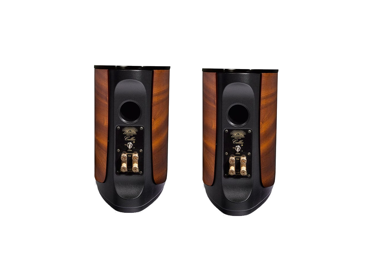 Elektronik, Sprecher