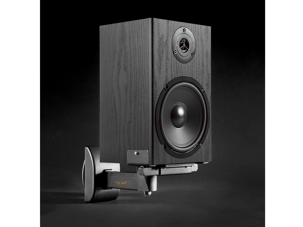 Elektronik, Sprecher