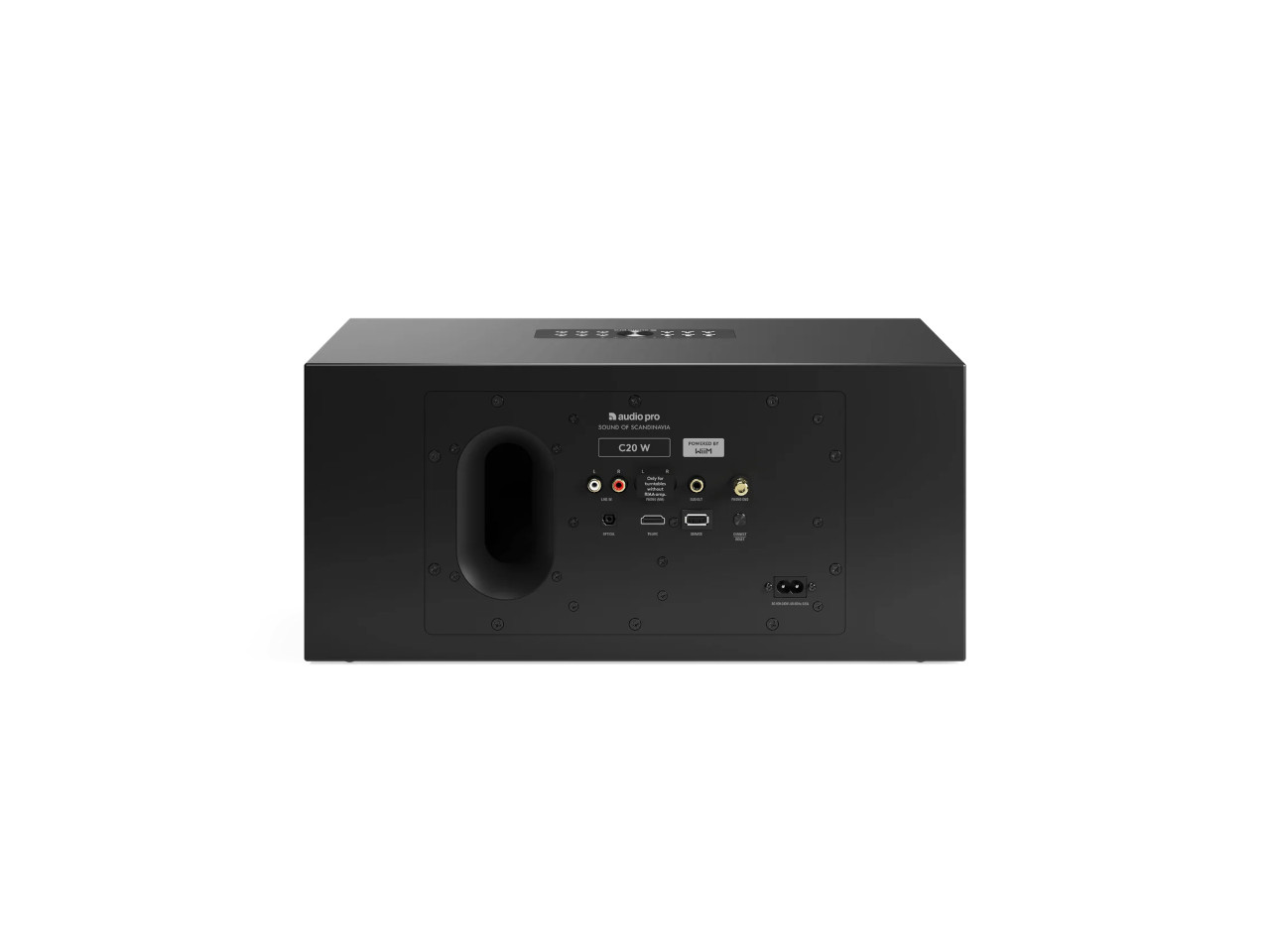subwoofer, Rückseite, Audio-Gerät, schwarzer Schrank, Anschlüsse