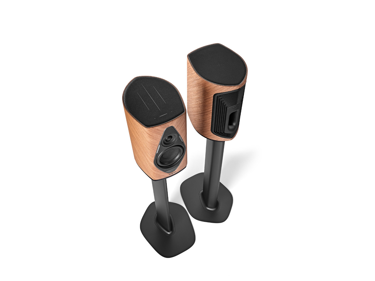 Elektronik, Sprecher