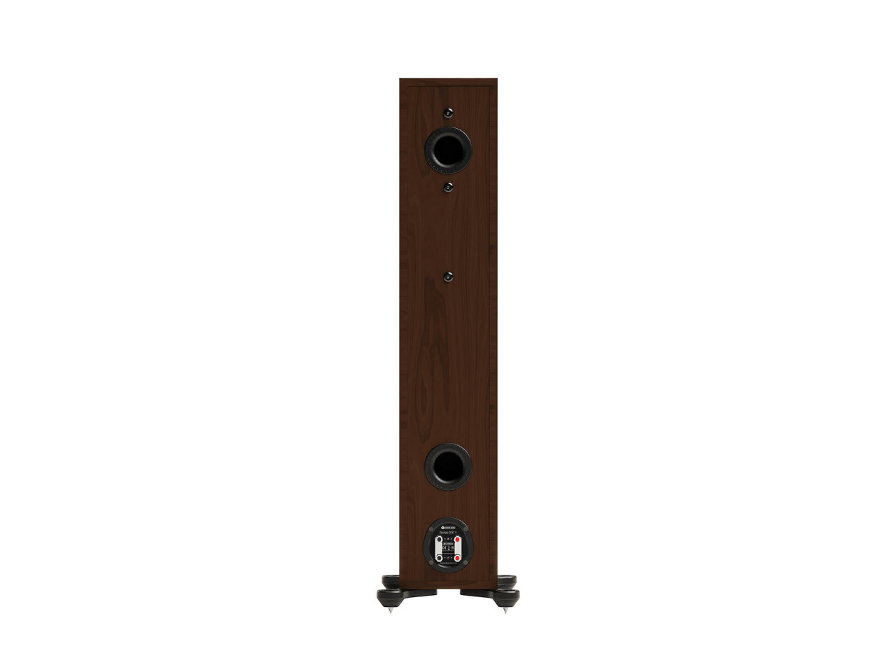 Stand-alone Lautsprecher, Standfußlautsprecher, Holzgehäuse, Braun, Rückseite Anschlussfeld