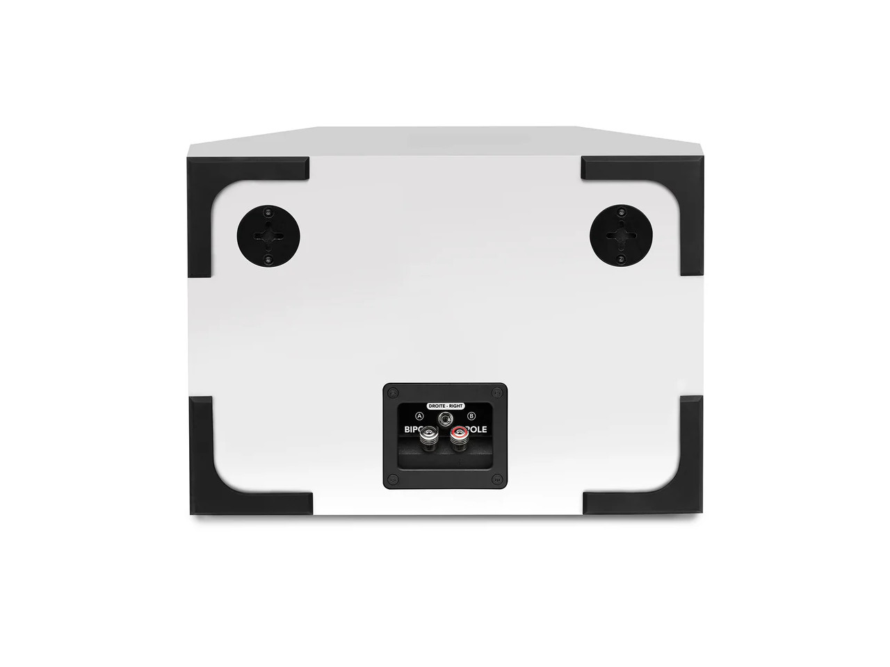 lautsprecher, rückseite, rca anschlüsse, stereo, verstärkergehäuse