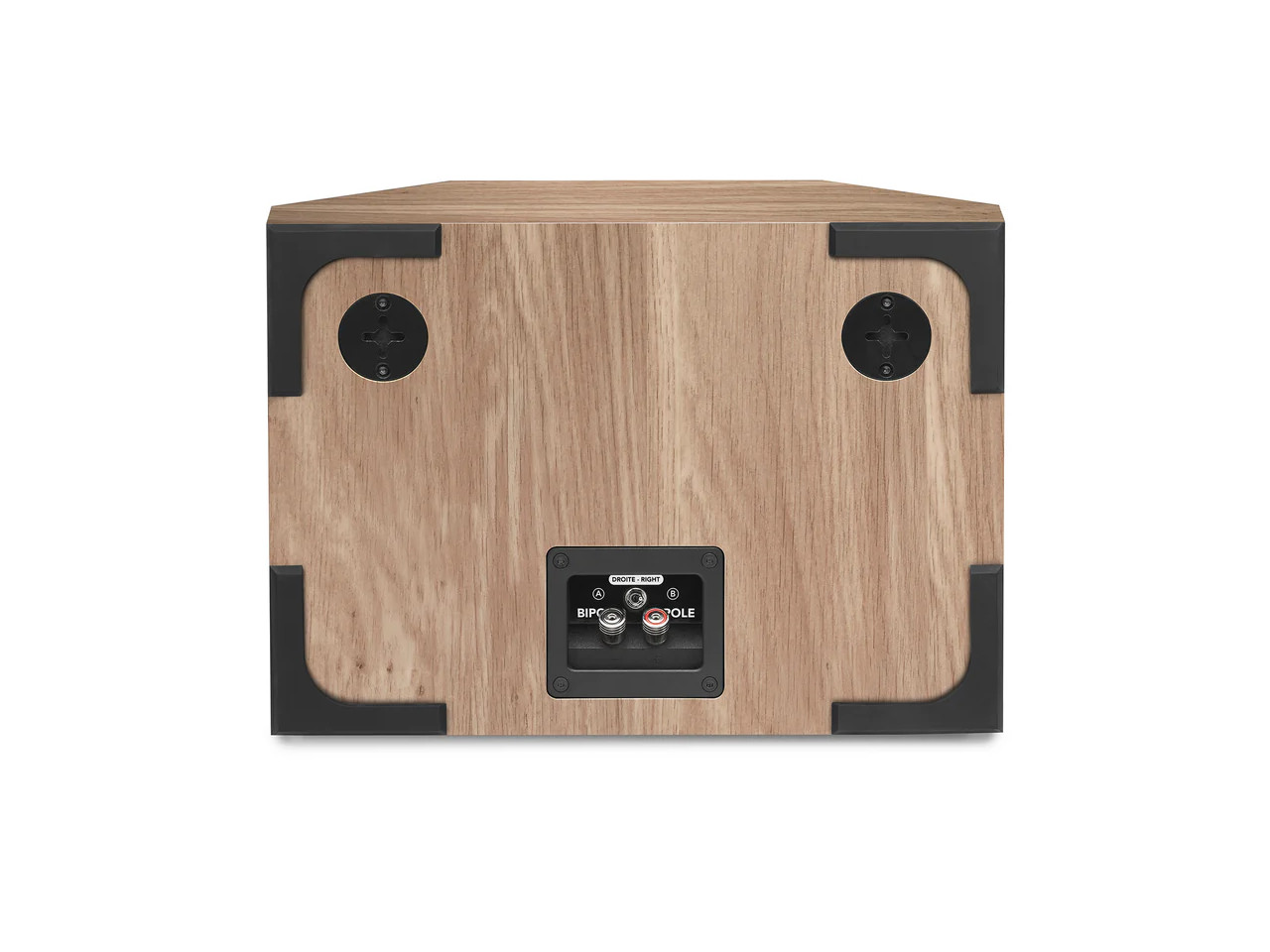 Elektronik, Sprecher, Postfach, Sperrholz, Holz