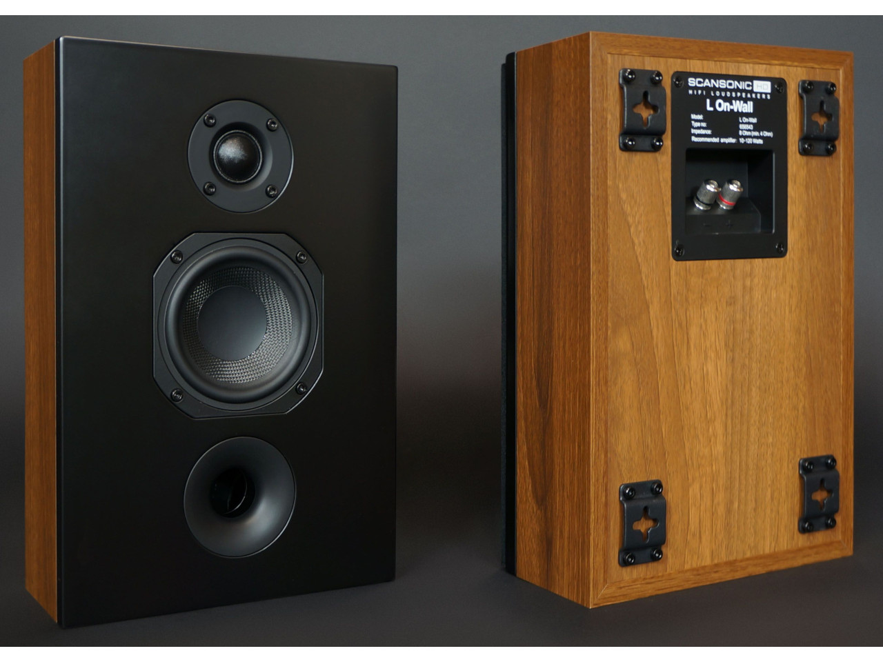 Elektronik, Sprecher