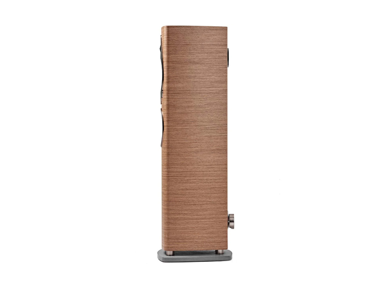 holz, braun, gebogen, seite, gehäuse