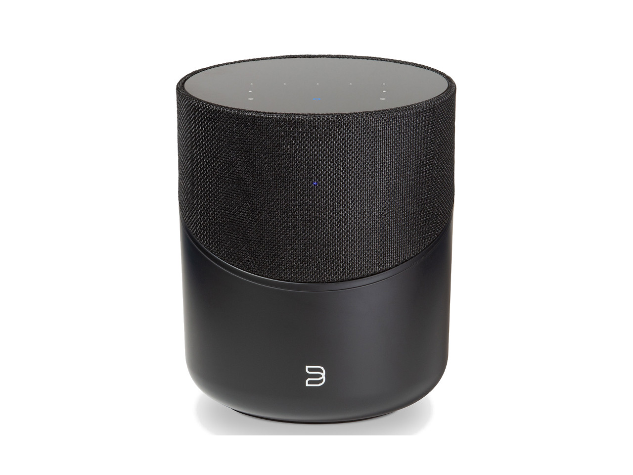 Bluesound PULSE M Black Elektronik, Sprecher