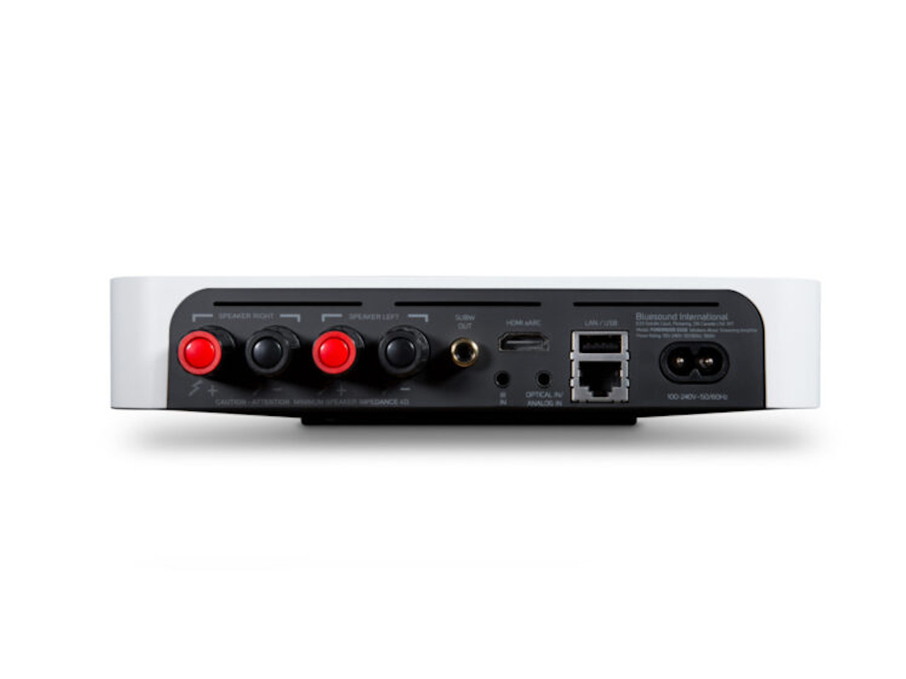 audiophiles-Verstärker, Rückseite, RCA-Anschlüsse, USB-Port, Netzstecker