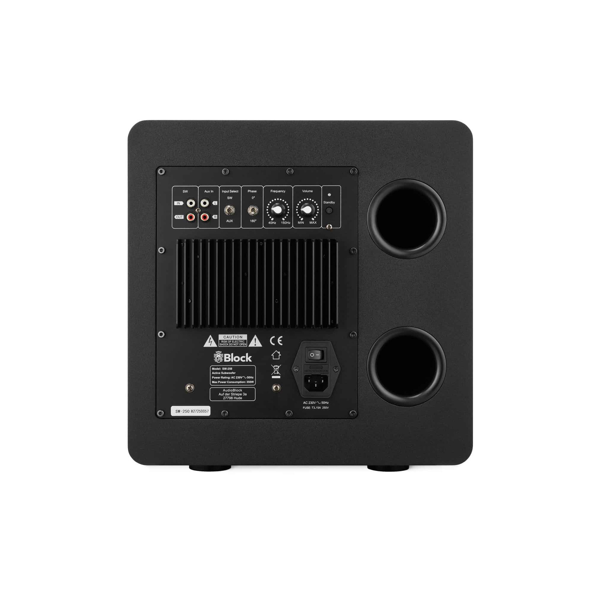 subwoofer, baßlautsprecher, rückseite panel, verstärker, zwei ports