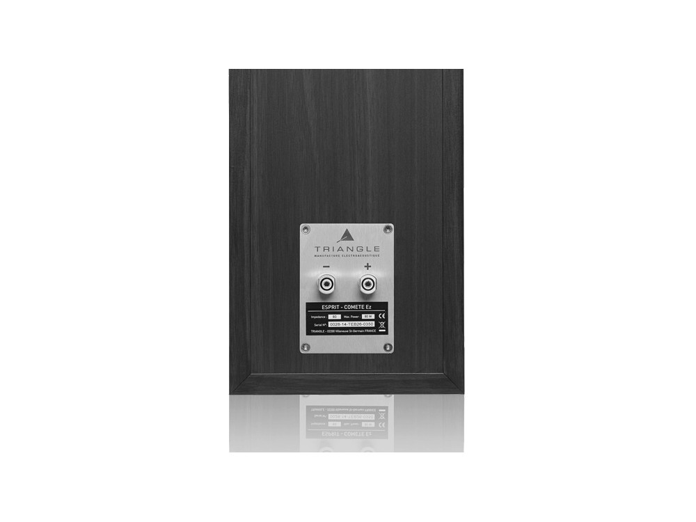 Holzplatte, Rückseite Lautsprecher, Metallplatte, Buchsenklemmen, schwarze Holzoptik