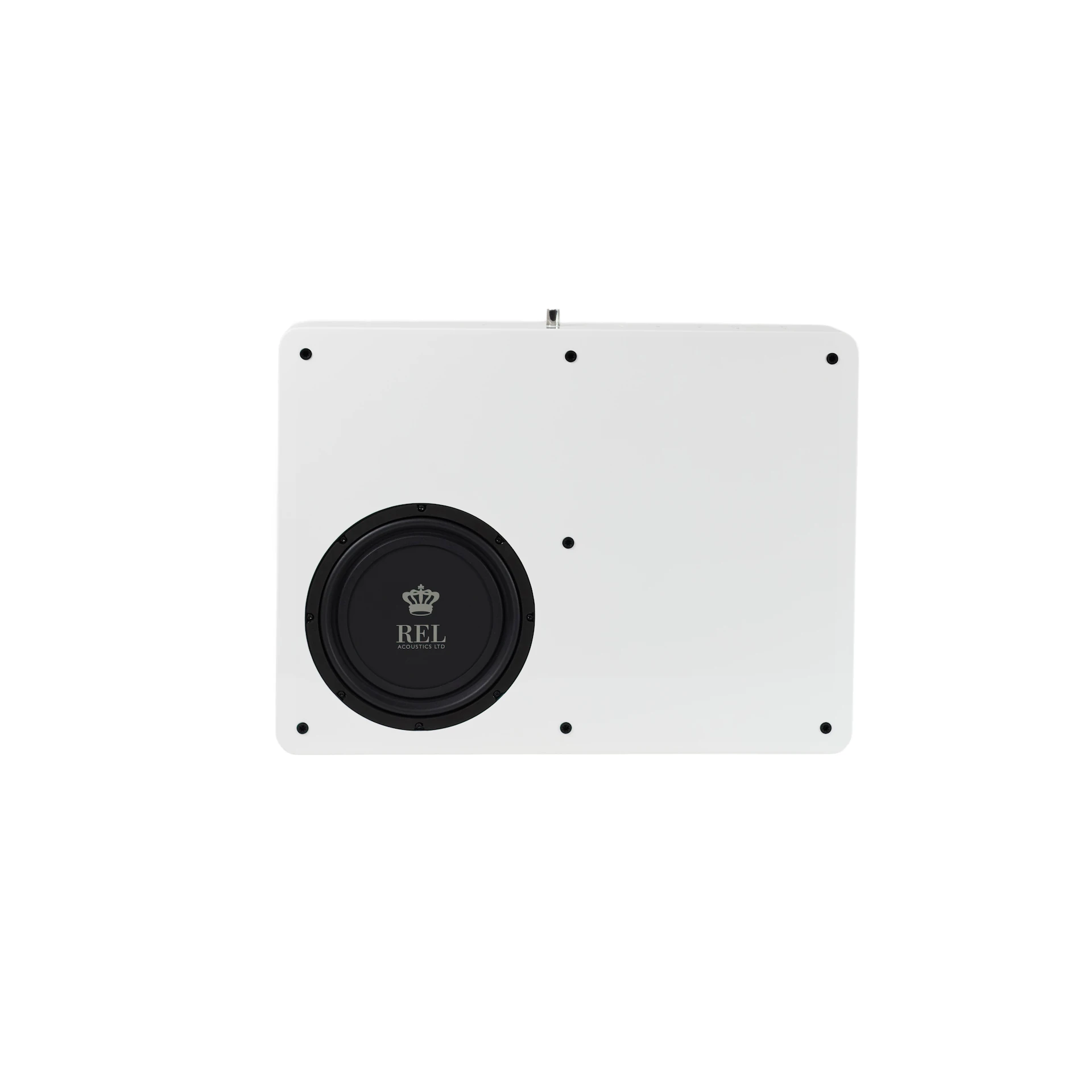 Subwoofer, Lautsprecher, weiße Platte, runder Treiber, Car-Audio