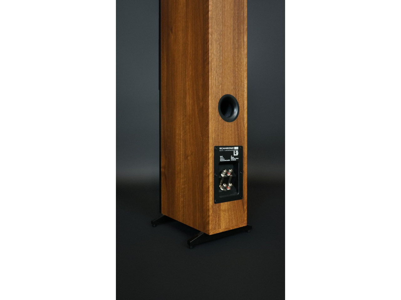 Drinnen, Innenarchitektur, Elektronik, Sprecher