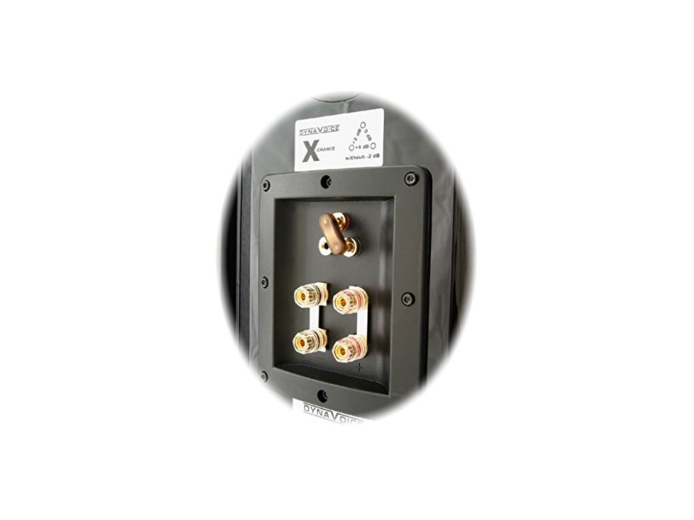 Dynavox DF-8 Lautsprecher Anschlussfeld