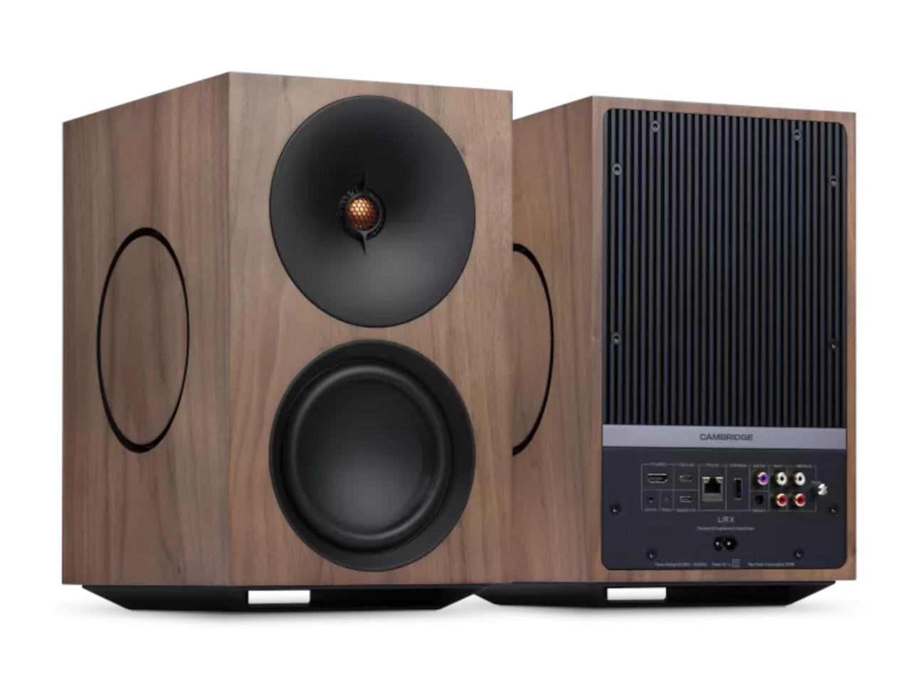 Lautsprecher, Aktivlautsprecher, Holzoptik, Rückseite, Holzmaserung