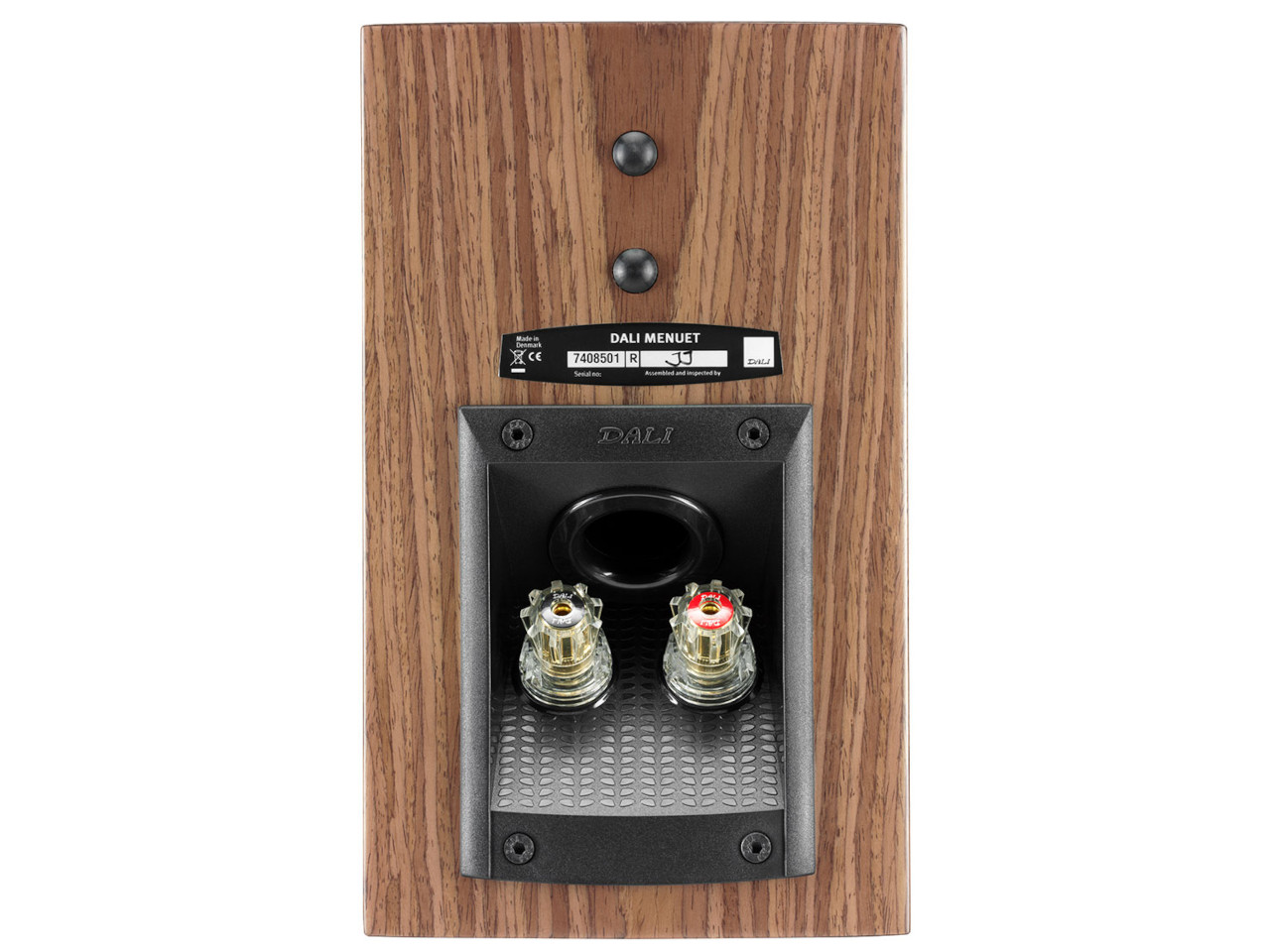 Holz-Gehrung, Rückseite Lautsprecher, Buchsenanschlüsse, Stereolautsprecher, Gehäusefinish