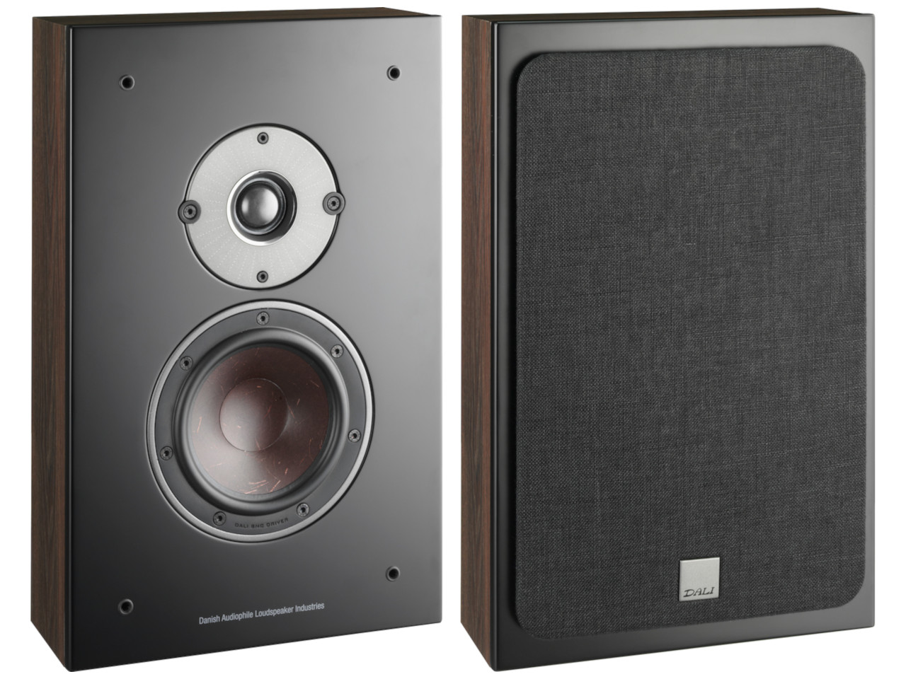 Elektronik, Sprecher