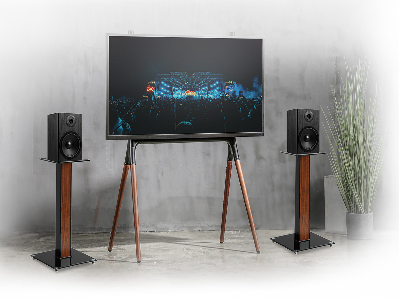 Elektronik, Sprecher, Bildschirm, Pflanze, Überwachen