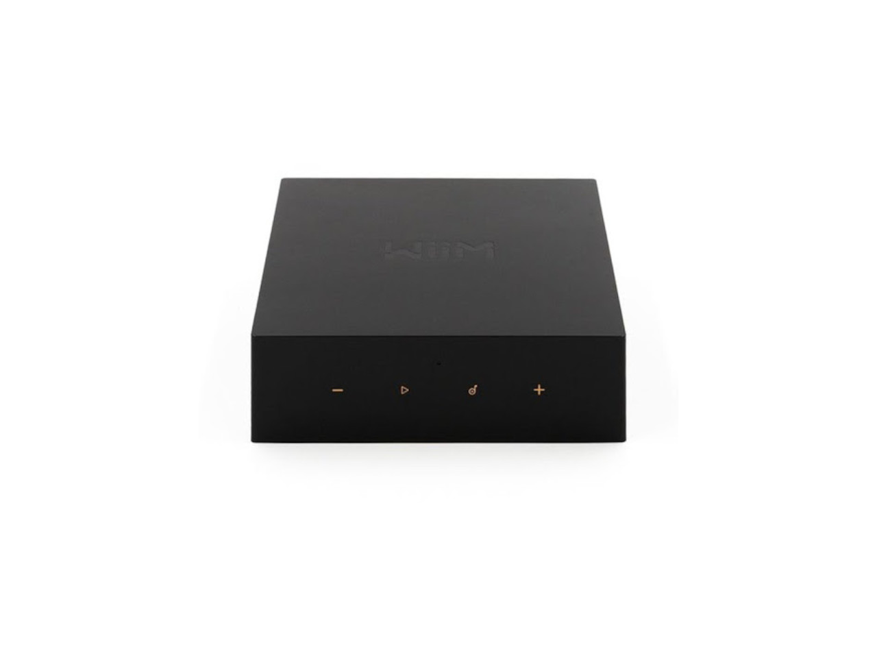Empfänger, verstärktes Gehäuse, Audio-Interface, schwarze Box, Tasten